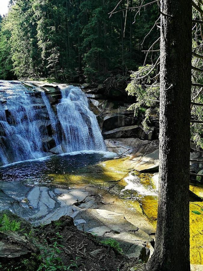 Dame Vam Pokoj - 4 Pokoje Se Sdilenou Kuchyni, Kapacita Max 9 Osob Harrachov Exterior foto