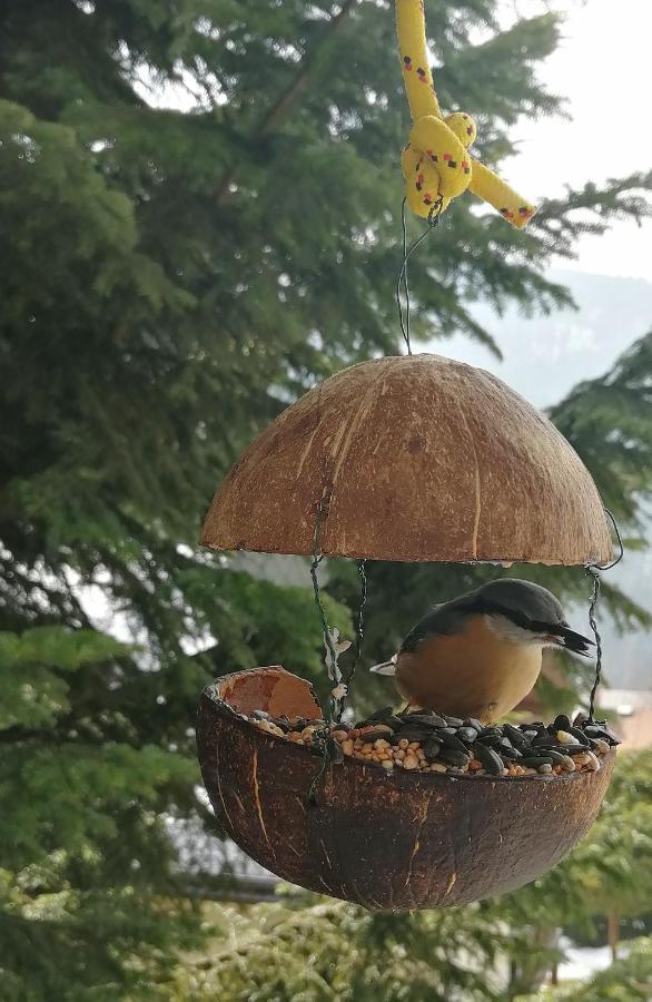 Dame Vam Pokoj - 4 Pokoje Se Sdilenou Kuchyni, Kapacita Max 9 Osob Harrachov Exterior foto
